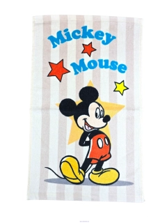 Uterák DISNEY 30x50cm