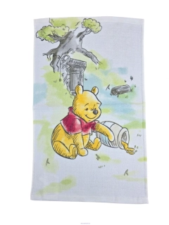 Uterák DISNEY 30x50cm